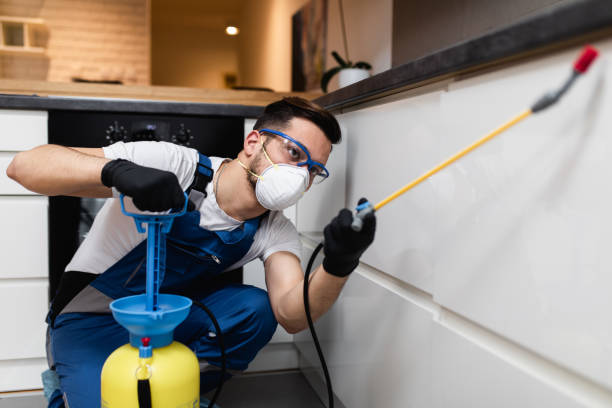 Best Pest Prevention Services  in Nashville, MI