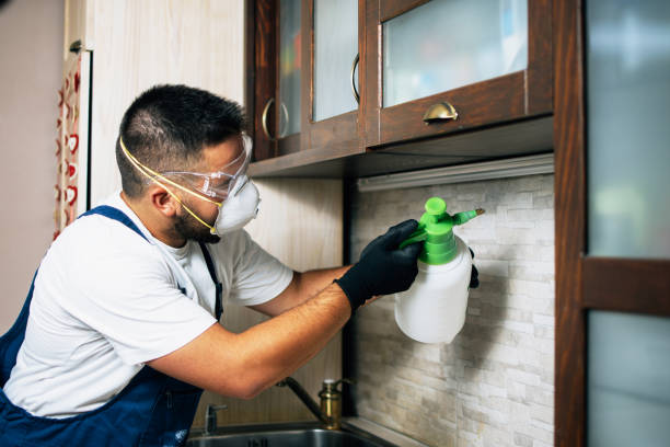 Best Termite Control Services  in Nashville, MI