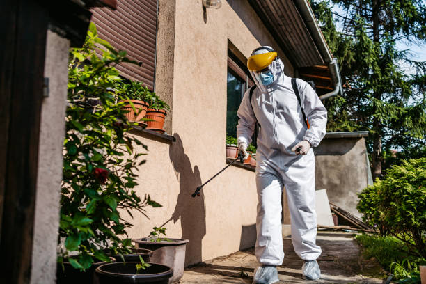 Best Pest Inspection Near Me  in Nashville, MI