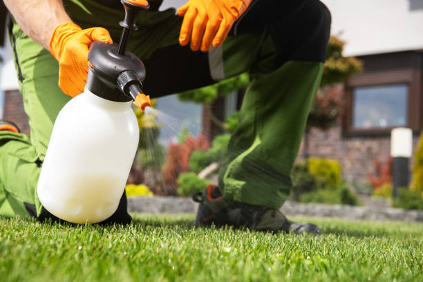 Best Ant Control Services  in Nashville, MI