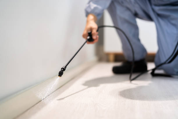 Pest Control for Restaurants in Nashville, MI