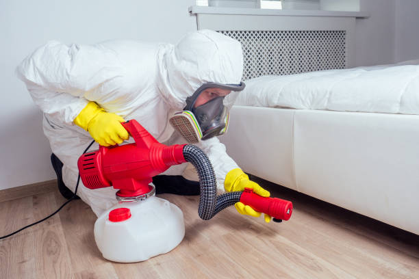 Best Emergency Pest Control  in Nashville, MI