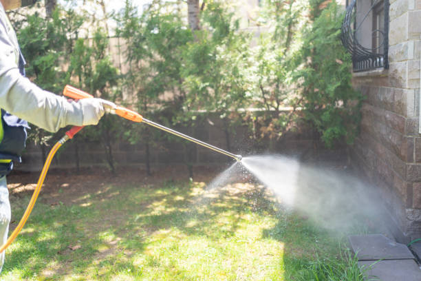 Best Pest Control Near Me  in Nashville, MI