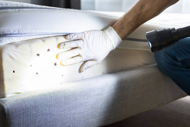  Nashville, MI Pest Control Pros