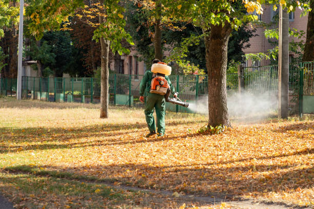 Best Wasp Removal Services  in Nashville, MI