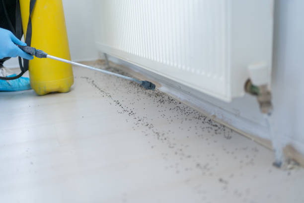 Best Commercial Pest Control Services  in Nashville, MI