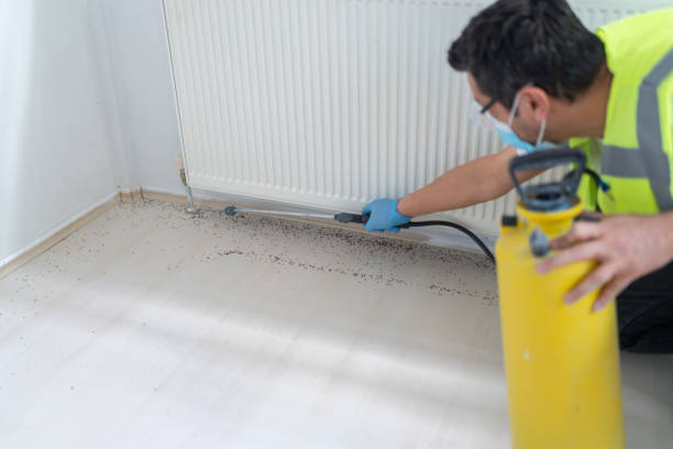 Best Cockroach Control Services  in Nashville, MI